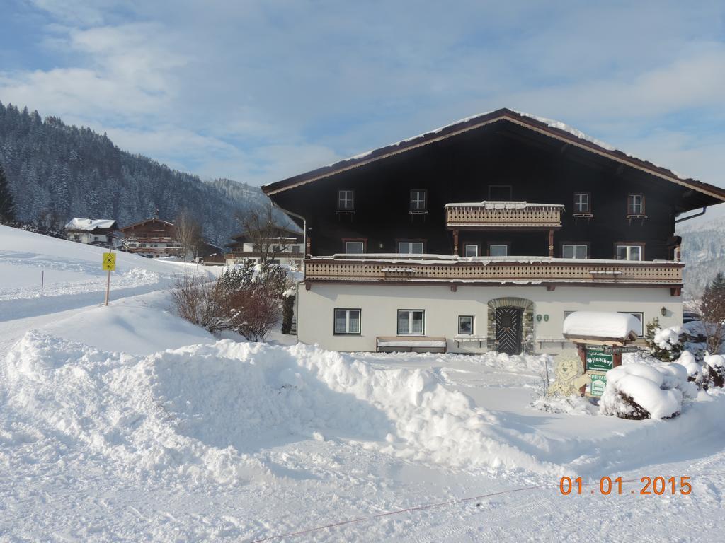 Pfindlhof Bed & Breakfast Leogang Dış mekan fotoğraf