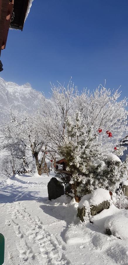 Pfindlhof Bed & Breakfast Leogang Dış mekan fotoğraf