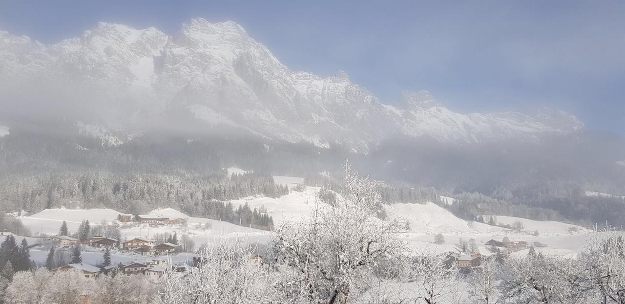 Pfindlhof Bed & Breakfast Leogang Dış mekan fotoğraf