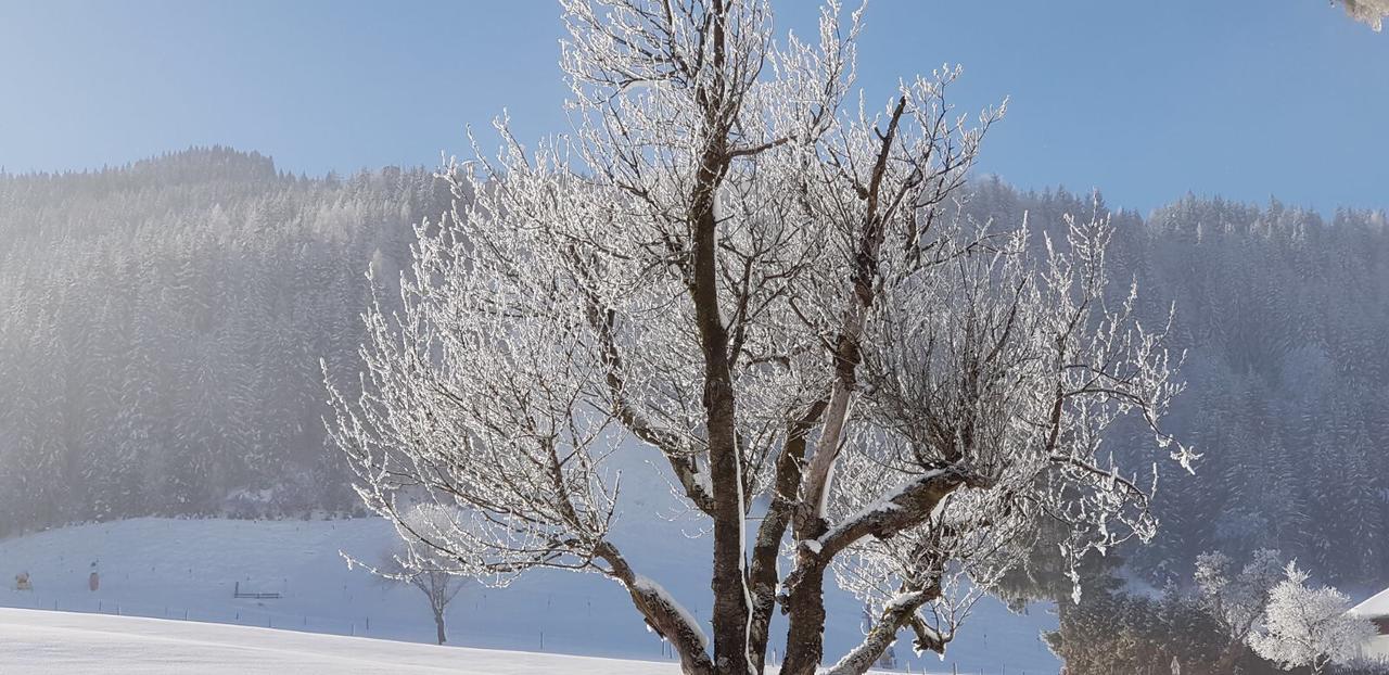 Pfindlhof Bed & Breakfast Leogang Dış mekan fotoğraf